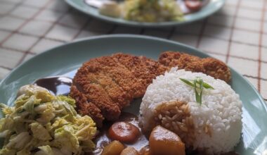 Tonkatsu Curry at Home