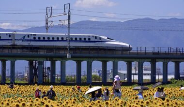 Tokaido Shinkansen train passing Ogaki Sunflower Field, Gifu