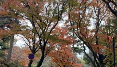 The backroads of Nara in December