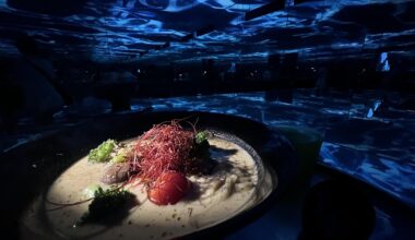 Michelin vegan ramen at teamlab planeta tokyo really good!