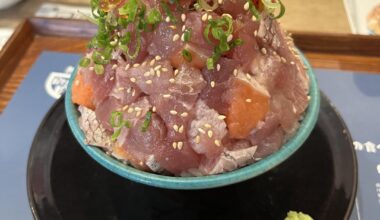 Sashimi donburi from Osakana Shokudo in Atami