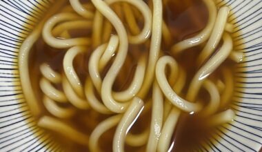 HELP - Udon Recipe