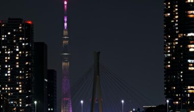 Chuo O-Hashi and the Skytree