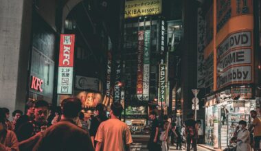 walk around in Akihabara.