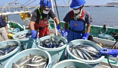 No tritium found in fish 1 month after Fukushima water release