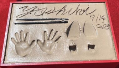 Yoshiki's handprints immortalized in Hollywood