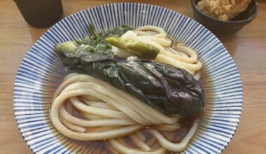 Eggplant udon