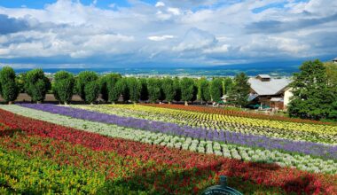 Farm Tomita, Furano