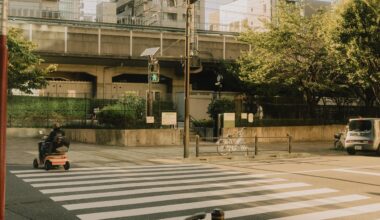 Golden Hour in Harajuku