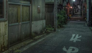 Dark Tokyo Laneway [#3958] [OC]