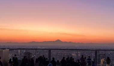 Mount Fuji from Shibuya Sky