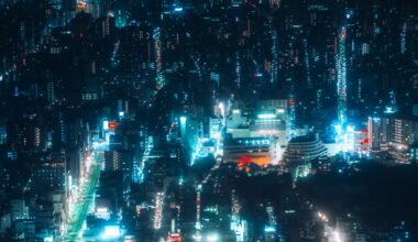 The night view from the Sky Tree