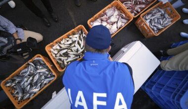 UN nuclear agency team watches Japanese lab workers prepare fish samples from damaged nuclear plant