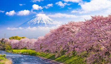 Beautiful view of Mount Fuji