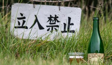 a beer in Japan