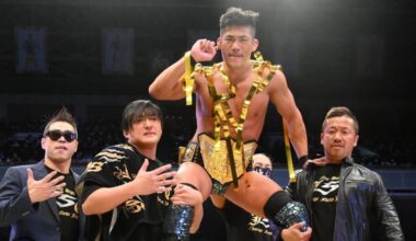 I want to get into NJPW what are some tips and explainations for beginners?