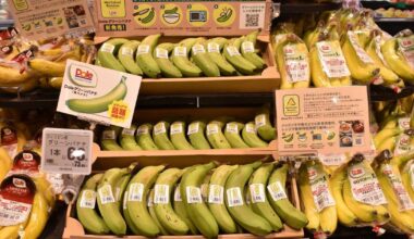 New type of veggie? Green bananas hit Japan store shelves, useful in curry, miso soup - The Mainichi