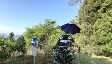 Totoro made of plants found in Yamanashi.