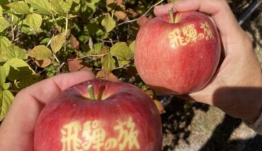 Apples from Hida region