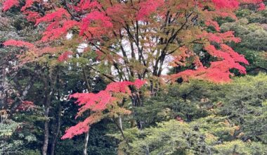 Autumn Symphony in Nikko