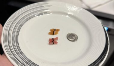 I’m so bored at work I made the tiniest salmon & tuna nigiri I could make