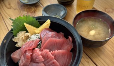 The absolute freshest bowl of Magurodon from Shizuoka (southern bluefin tuna)