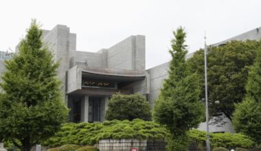 Top court upholds ruling in favor of Japan's ban on dual nationality