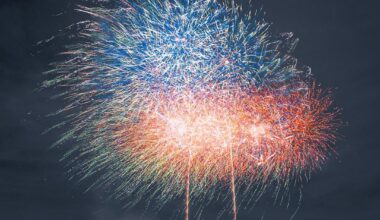 Fireworks at Tamagawa