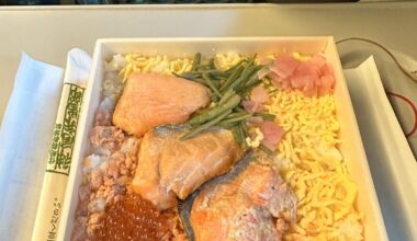 Bento from Tokyo Station