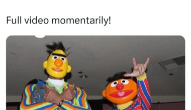 Life hasn't been kind to Bert and Ernie