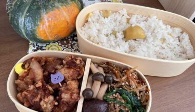 I made a bento for fall