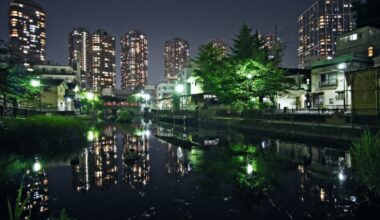 Tsukuda Park At Night