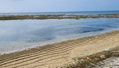 Some photos of the sea and low tidal zone while hiking from Naha to Urasoe in Okinawa prefecture