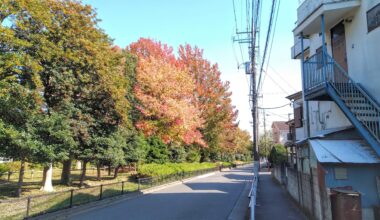 Tokyo - Fuchū. Autumn colors by the side of the street.