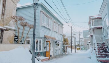 Snowy Winter day in Hakodate [OC]