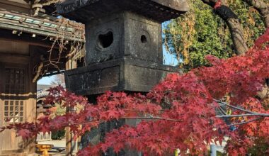 Beautiful fall day at Gotokuji (cat worship) Temple