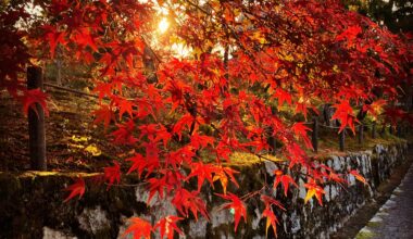 Nanzenji maples in Kyoto