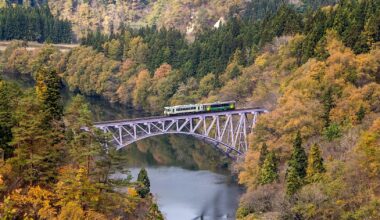 Fall in Fukushima