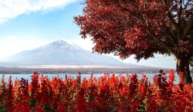 Beautiful weather last weekend in Kawaguchiko/Yamanakako