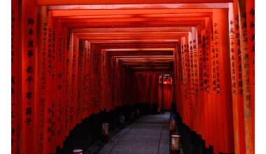 Fushimi Inari Shrine, Kyoto, October 2023 [Fujifilm 50R]