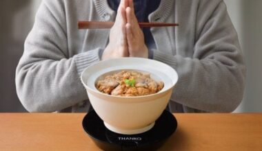 New Japanese bowl-shaped donburi rice cooker cooks rice and toppings at the same time