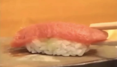 Wind tunnel testing Sushi made by a novice and master