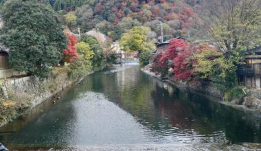 Heron in Kyoto