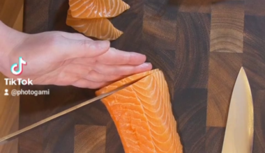 $3 Costco Salmon to $35 Nobu Sashimi