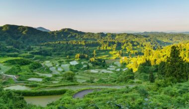 Hoshitoge Rice Terraces, Tokamachi, Niigata