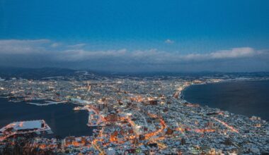 Mount Hakodate night view [OC]