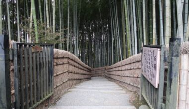 arashiyama bamboo never disappoints