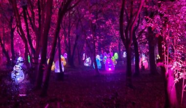 teamLab Botanical Garden in Osaka