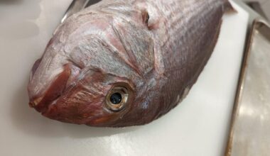 7 day aged Red Sea Bream