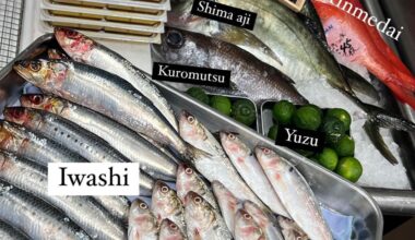 Weekly fish selection from Toyosu